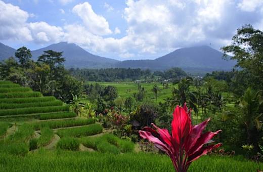 Bali - Vibrations incroyables au pays des Dieux 