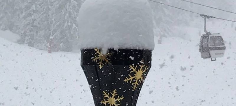 Un Tee qui n'a pas froid aux yeux 