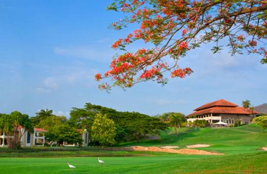 Hotel Westin Golf Resort & Spa - 5*ALL INVLUSIVE